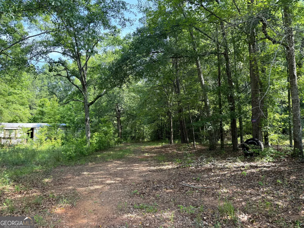 3 ACRES Chalybeate RD Manchester, GA 31816
