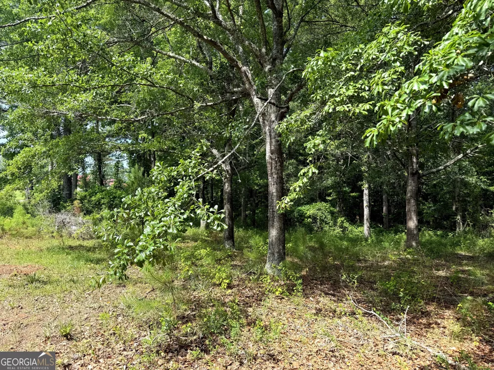 3 ACRES Chalybeate RD Manchester, GA 31816