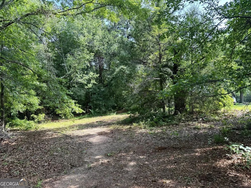 3 ACRES Chalybeate RD Manchester, GA 31816