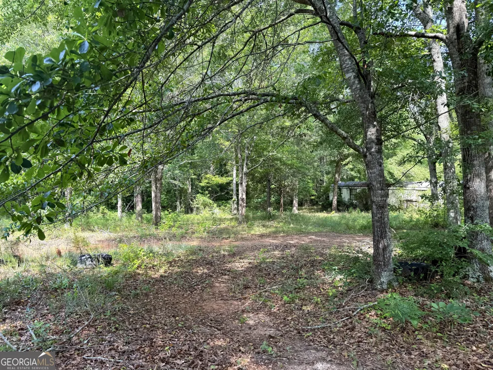 3 ACRES Chalybeate RD Manchester, GA 31816