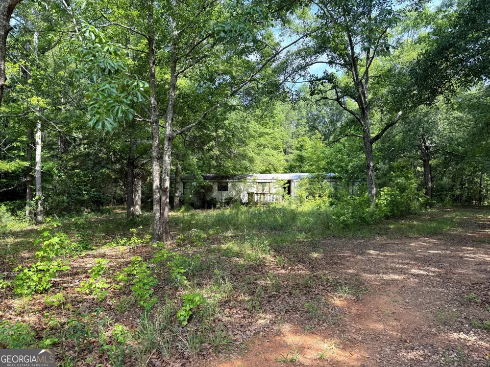 3 ACRES Chalybeate RD Manchester, GA 31816
