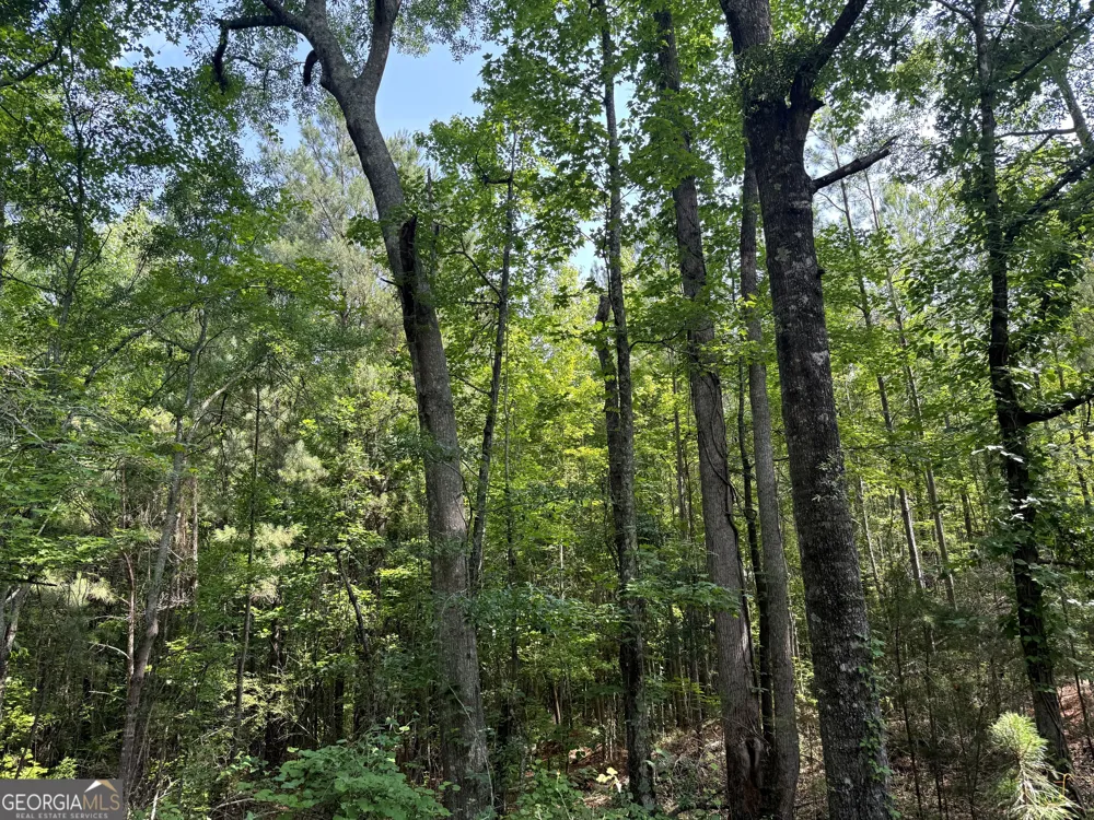 3 ACRES Chalybeate RD Manchester, GA 31816