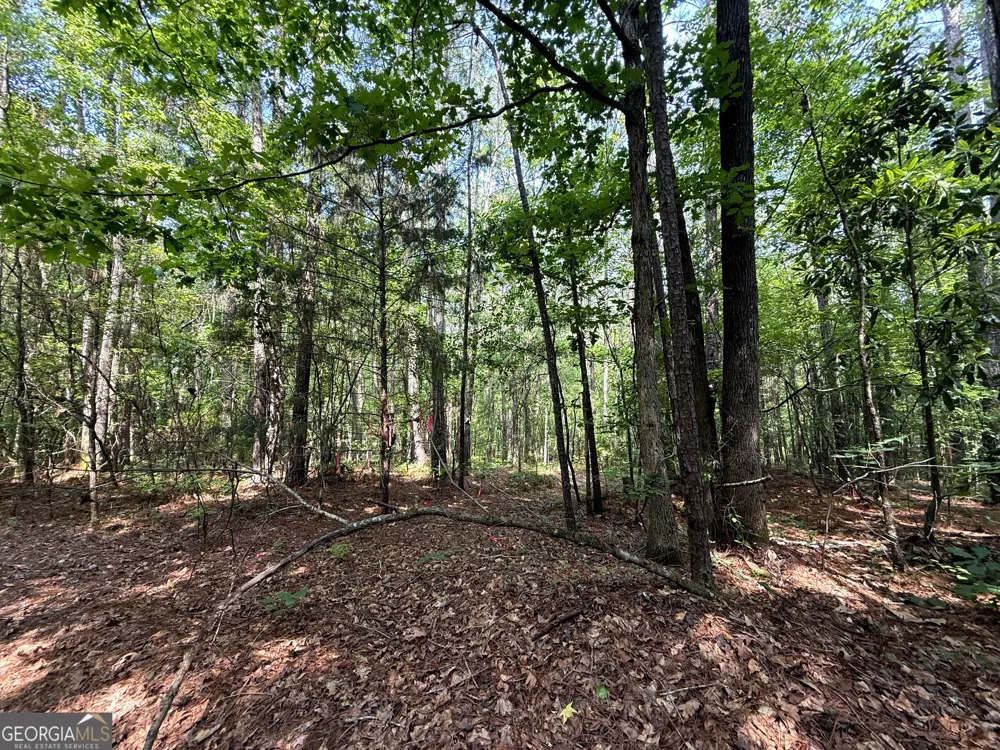 3 ACRES Chalybeate RD Manchester, GA 31816