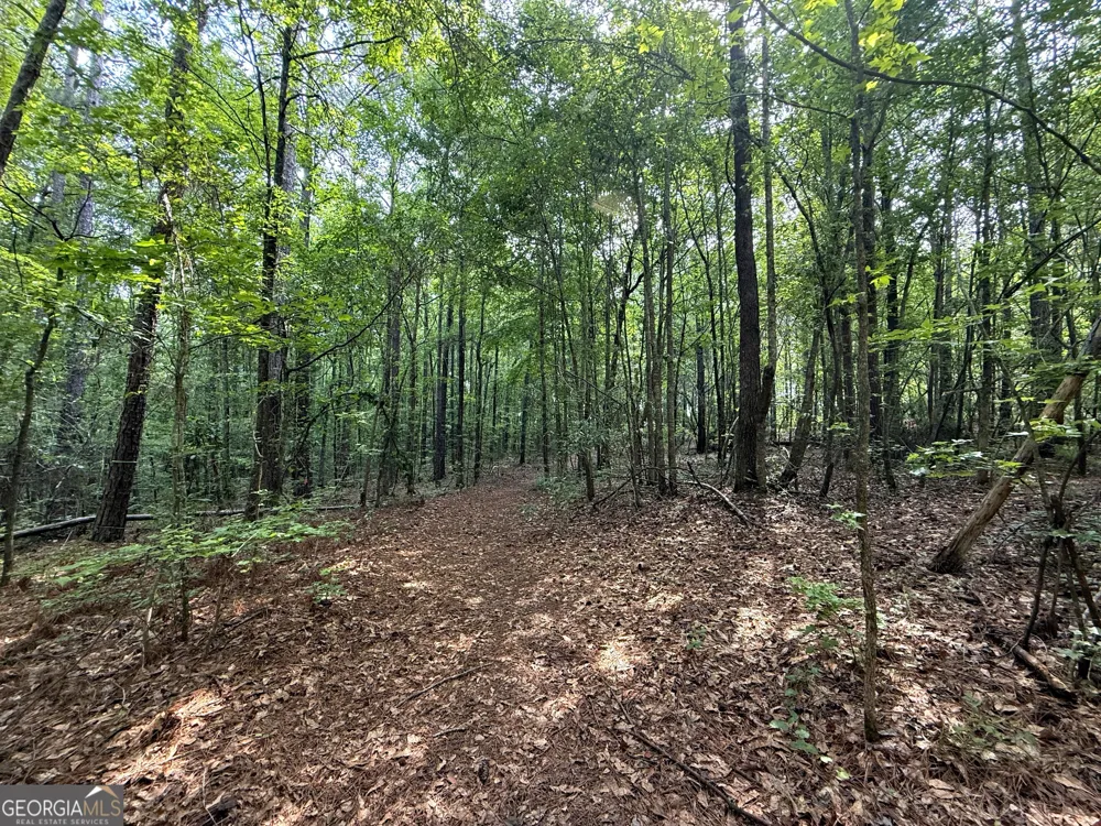 3 ACRES Chalybeate RD Manchester, GA 31816