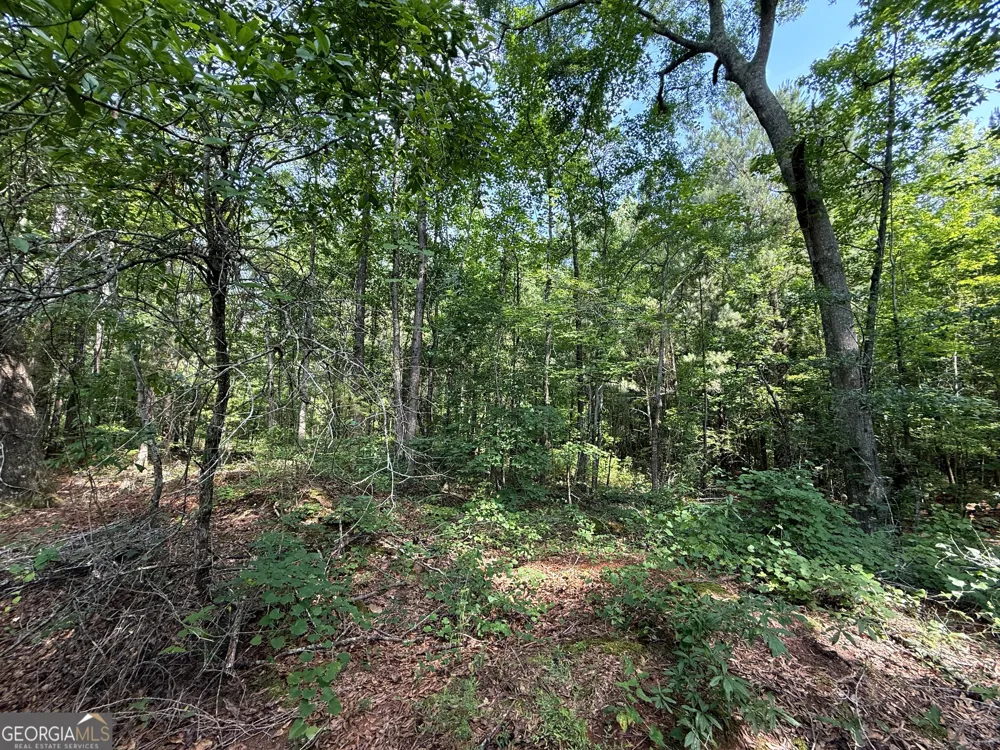 3 ACRES Chalybeate RD Manchester, GA 31816