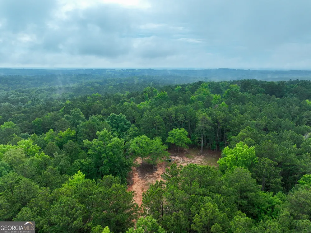 240 Pebble Hill RD SE Milledgeville, GA 31061