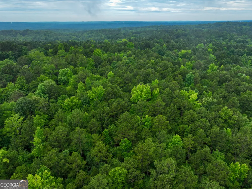 240 Pebble Hill RD SE Milledgeville, GA 31061