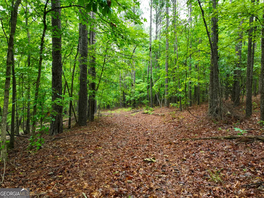 240 Pebble Hill RD SE Milledgeville, GA 31061