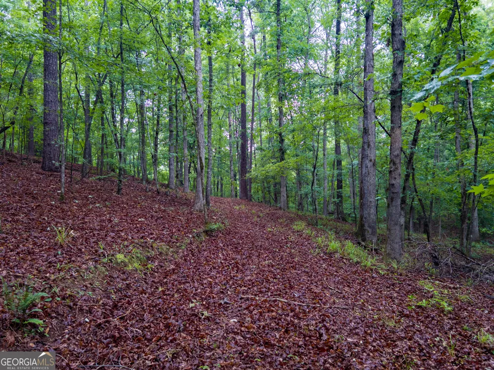 240 Pebble Hill RD SE Milledgeville, GA 31061