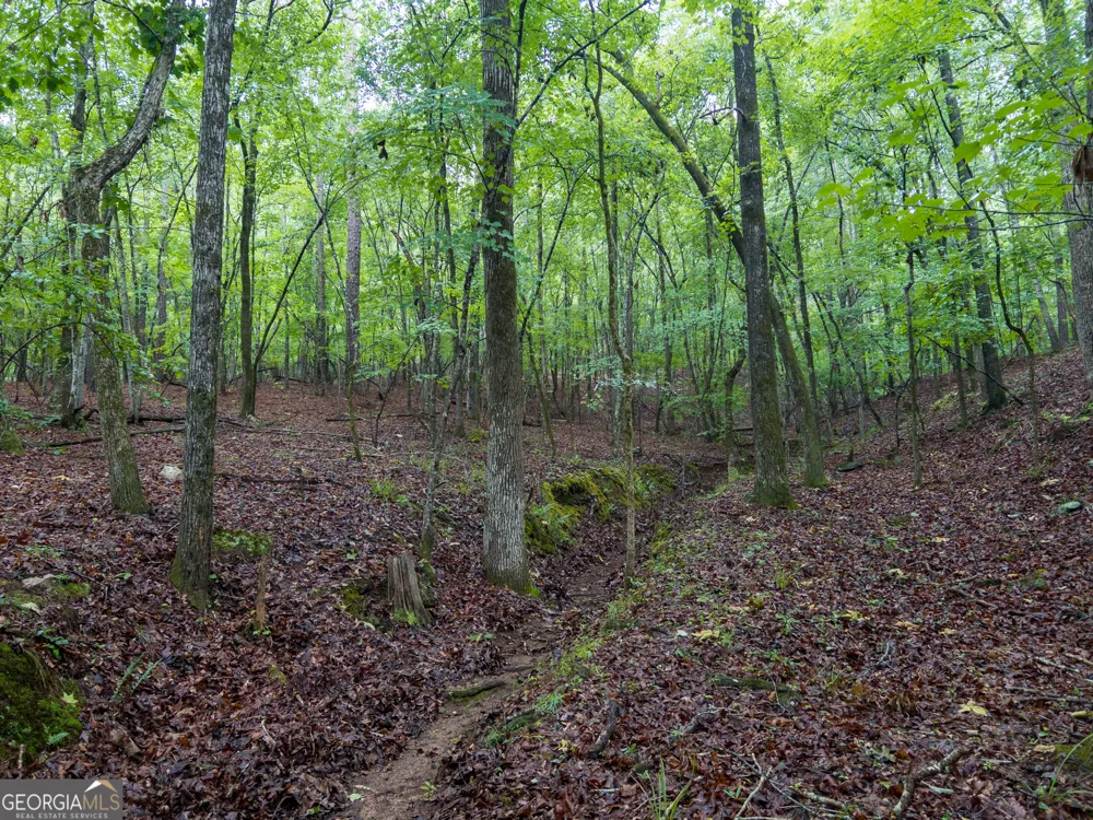 240 Pebble Hill RD SE Milledgeville, GA 31061