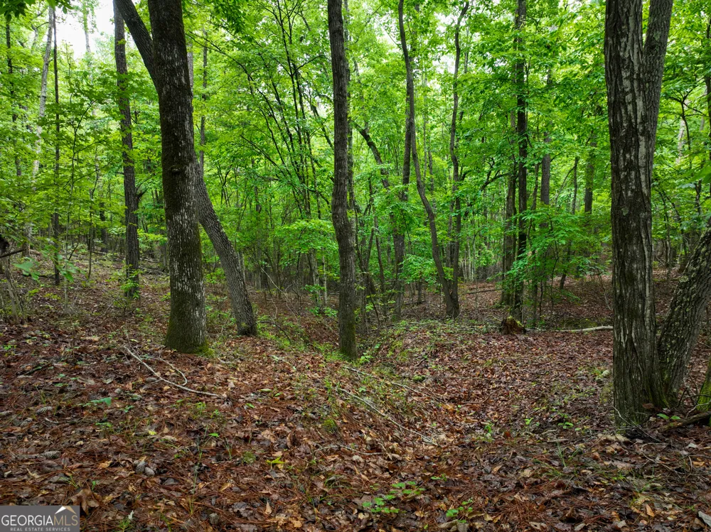 240 Pebble Hill RD SE Milledgeville, GA 31061