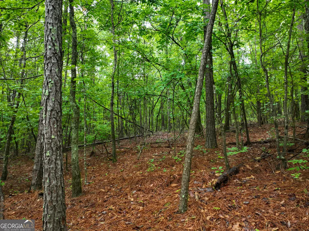 240 Pebble Hill RD SE Milledgeville, GA 31061