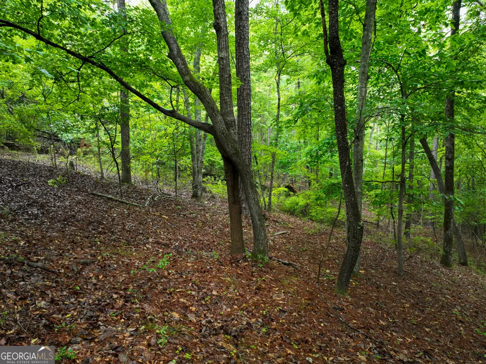 240 Pebble Hill RD SE Milledgeville, GA 31061