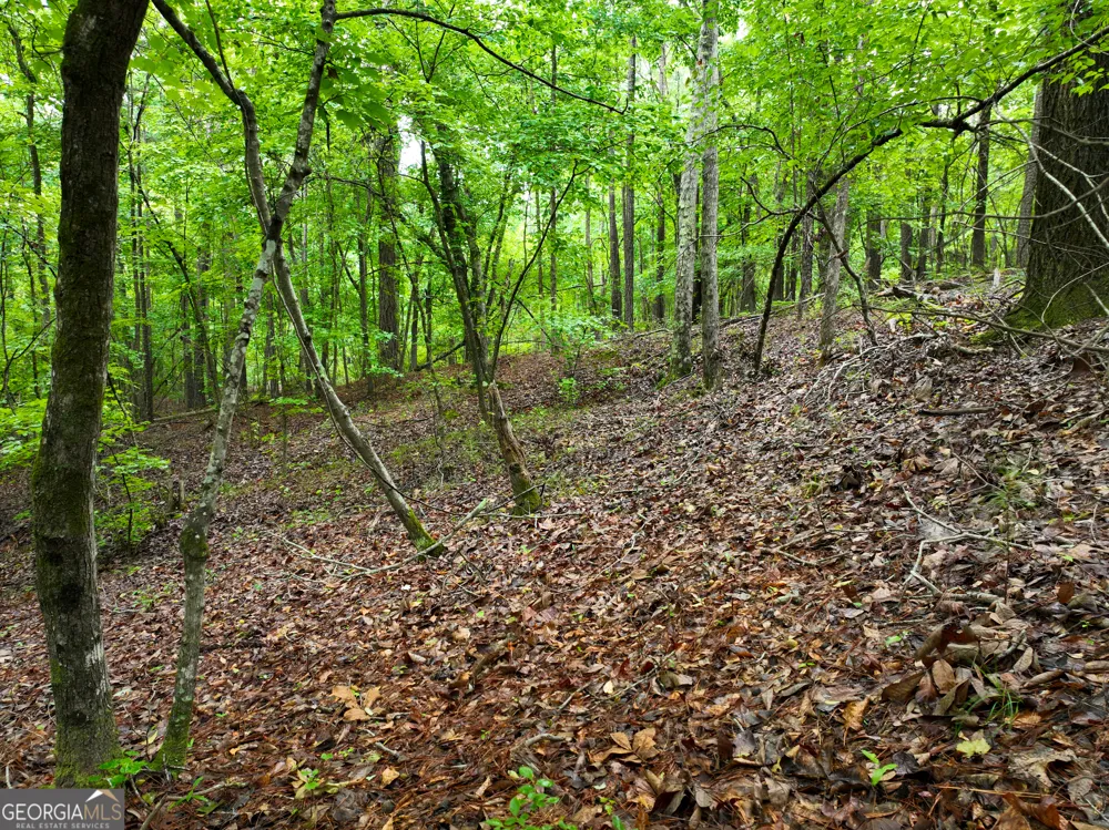 240 Pebble Hill RD SE Milledgeville, GA 31061