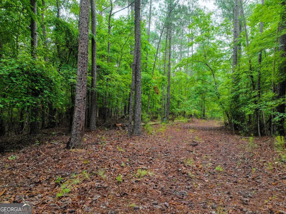 240 Pebble Hill RD SE Milledgeville, GA 31061