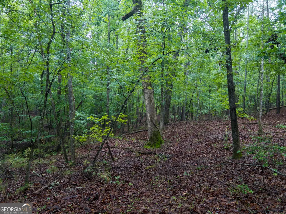 240 Pebble Hill RD SE Milledgeville, GA 31061