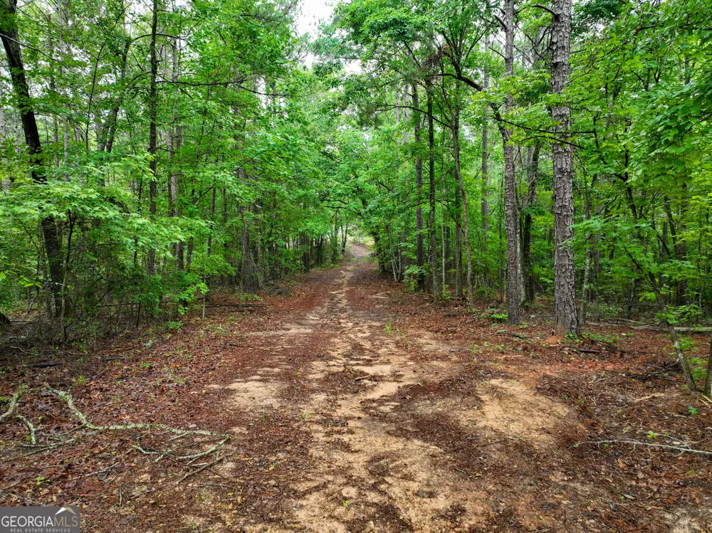 240 Pebble Hill RD SE Milledgeville, GA 31061