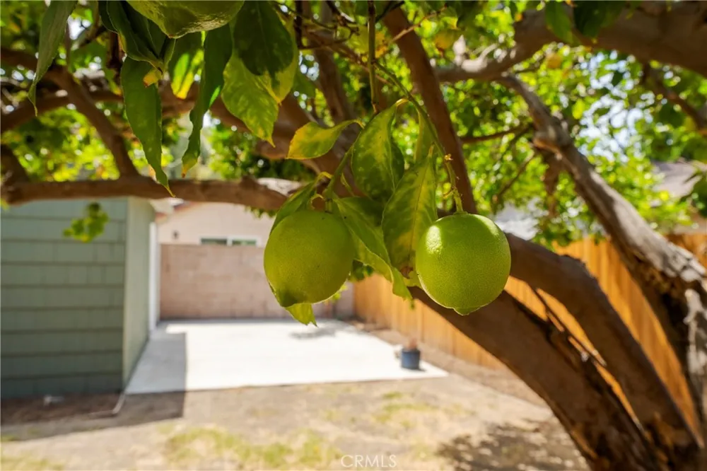 435 S Mariposa Burbank, CA 91506