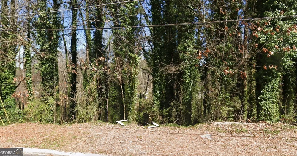 0 Brookside DR Forest Park, GA 30297