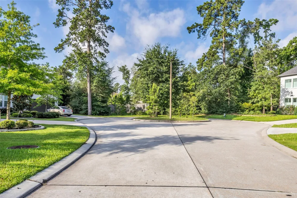 16 Clearview Terrace Place The Woodlands, TX 77375