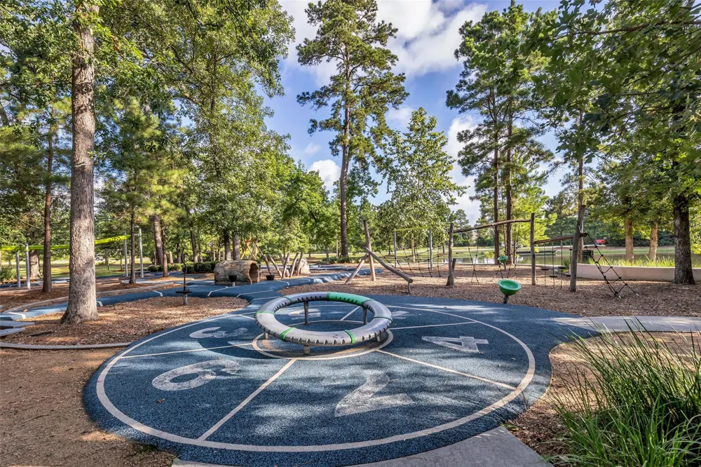 16 Clearview Terrace Place The Woodlands, TX 77375
