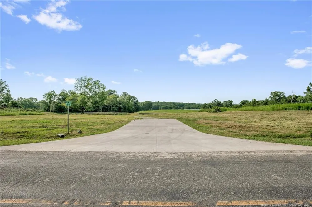 00 Laia Hills (Lot 3) Road Siler City, NC 27344