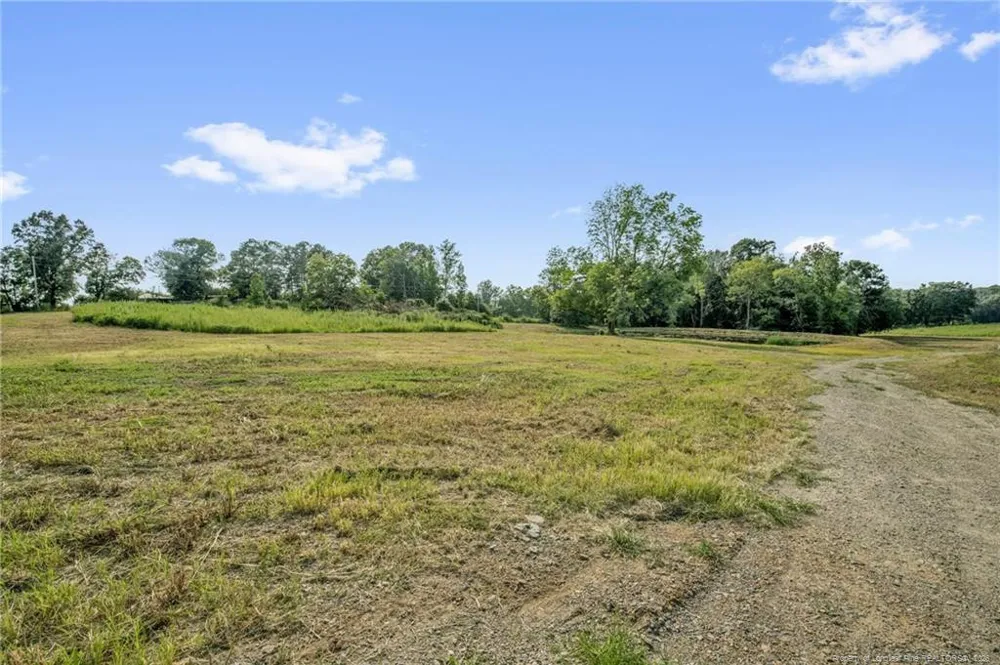 00 Laia Hills (Lot 3) Road Siler City, NC 27344