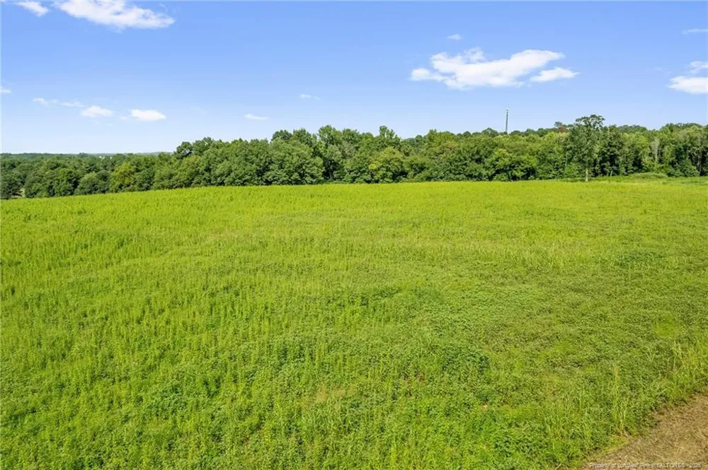 00 Laia Hills (Lot 3) Road Siler City, NC 27344