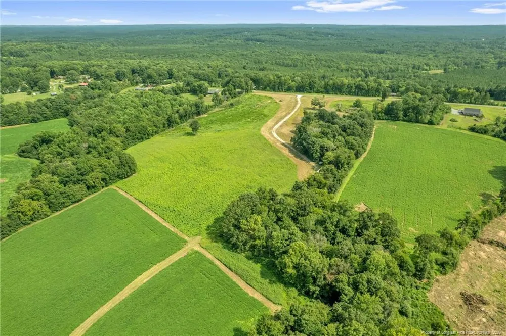 00 Laia Hills (Lot 3) Road Siler City, NC 27344