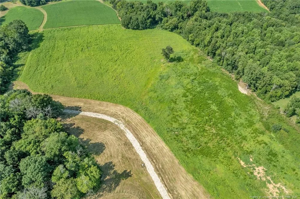 00 Laia Hills (Lot 3) Road Siler City, NC 27344