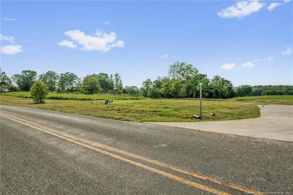 00 Laia Hills (Lot 1) Road Siler City, NC 27344