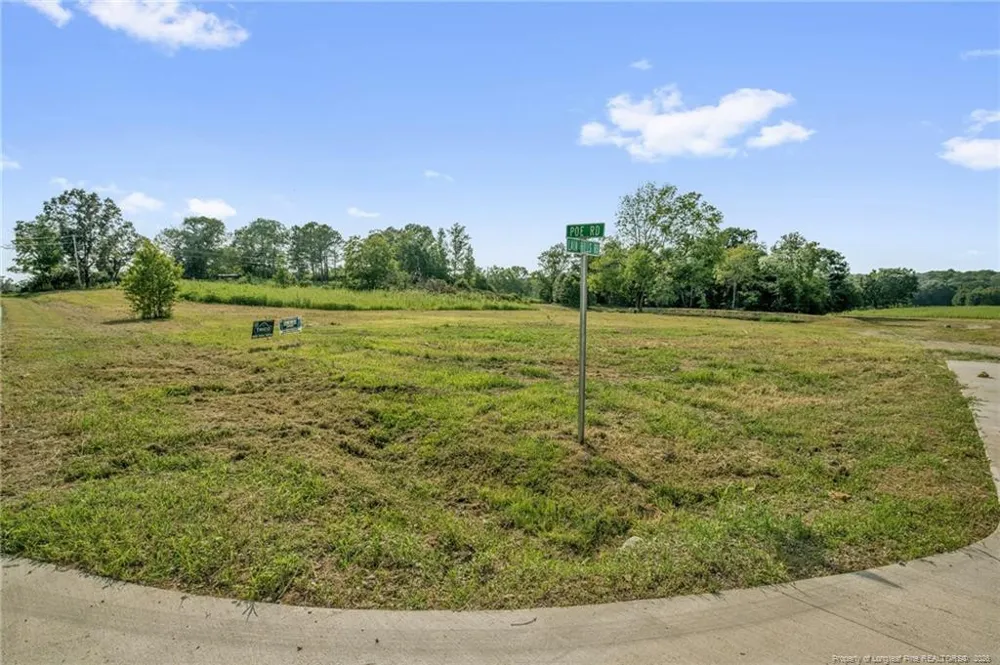 00 Laia Hills (Lot 1) Road Siler City, NC 27344