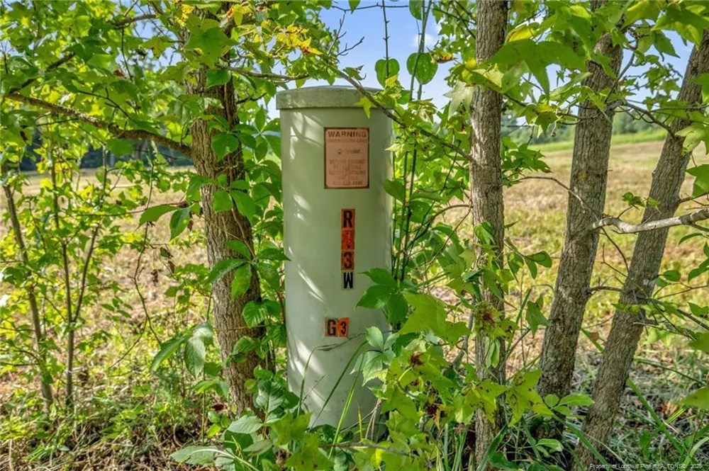 00 Laia Hills (Lot 1) Road Siler City, NC 27344
