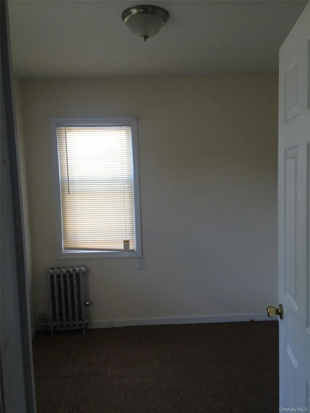 143-22 94th Avenue #2 Briarwood, NY 11435