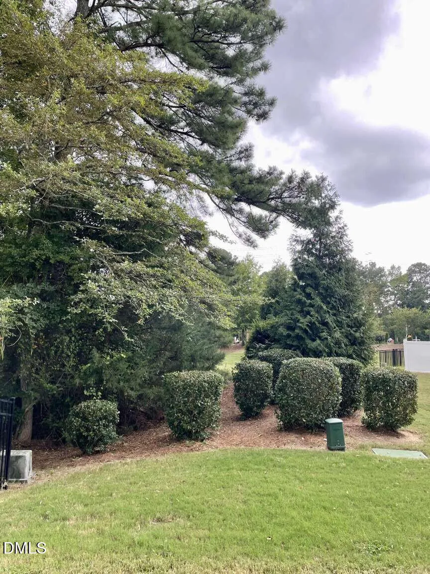 2729 Masonboro Ferry Drive Apex, NC 27502