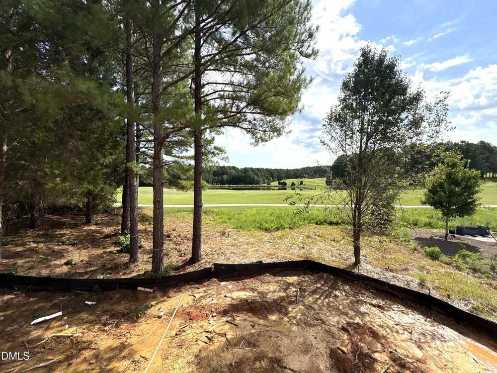 1267 Golfers View Pittsboro, NC 27312