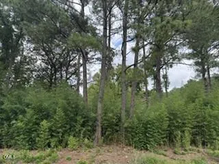 1298 Moores Chapel Road Lillington, NC 27546
