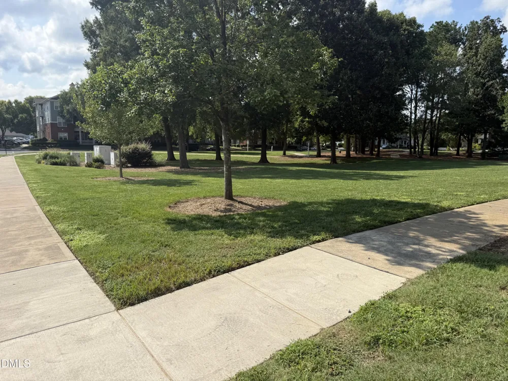 11034 David Stone Chapel Hill, NC 27517