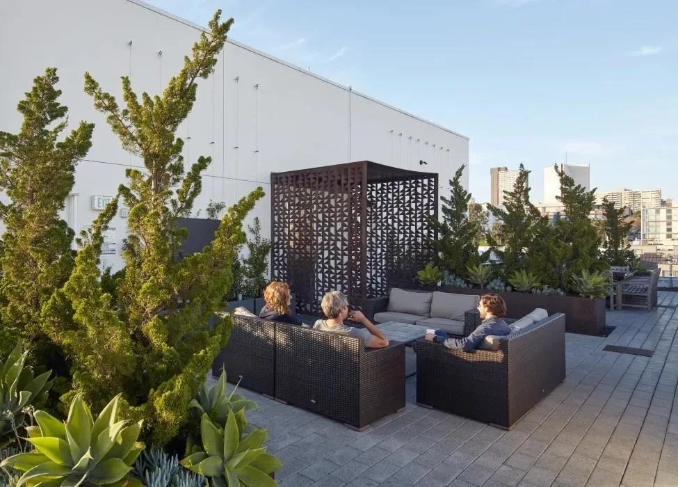 388 Fulton Street #510 San Francisco, CA 94102