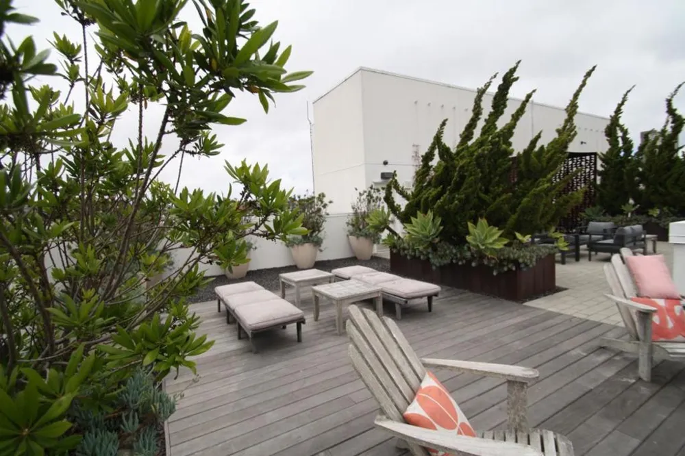 388 Fulton Street #510 San Francisco, CA 94102