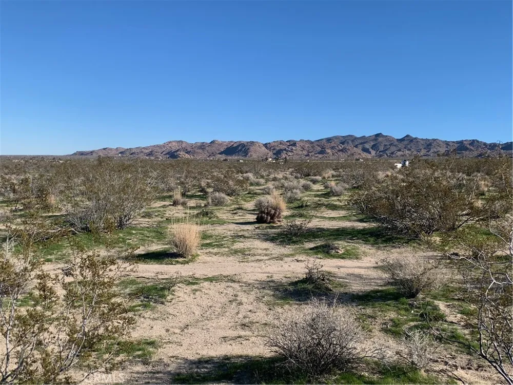 California Avenue Joshua Tree, CA 92252