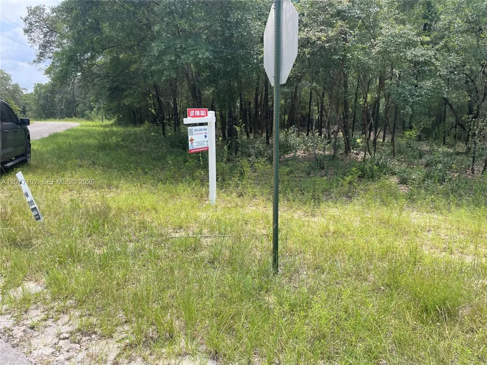 Diane Place Other City - In The State Of Florida, FL 32428