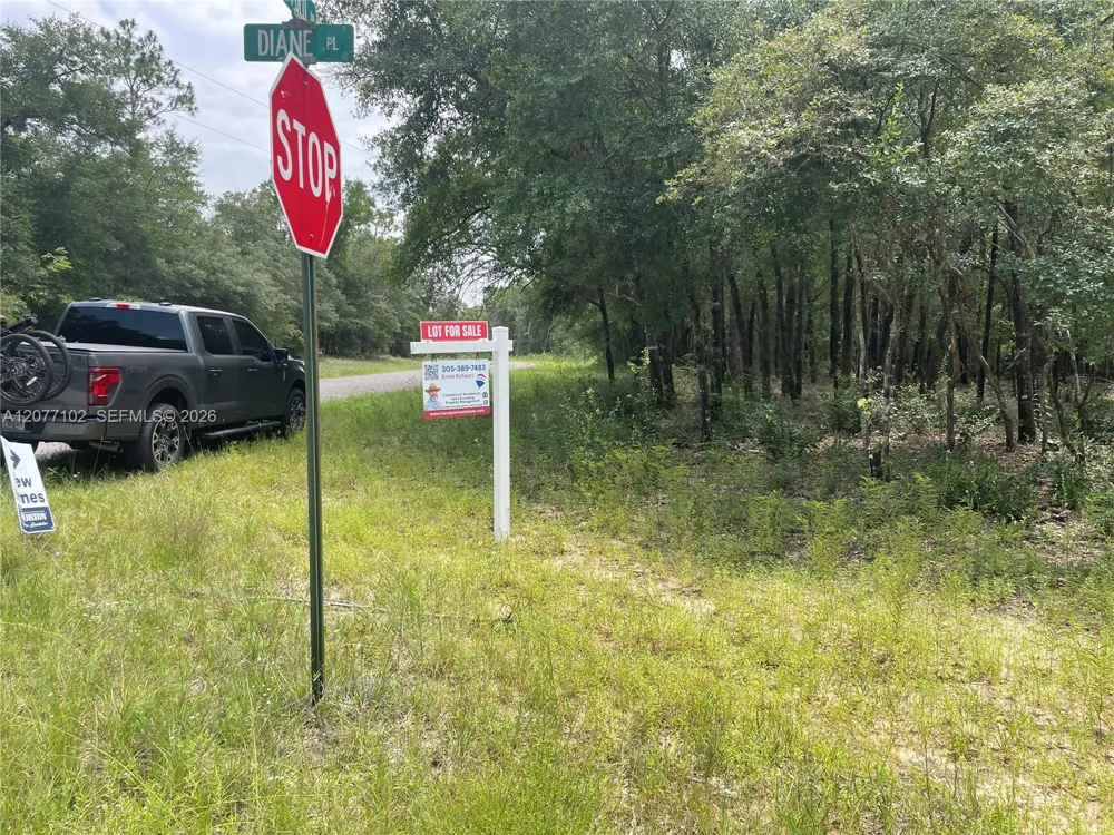 Diane Place Other City - In The State Of Florida, FL 32428