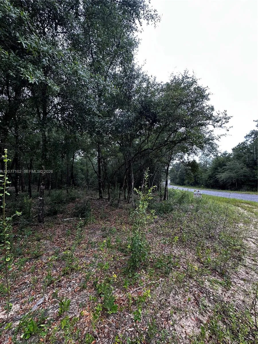Diane Place Other City - In The State Of Florida, FL 32428