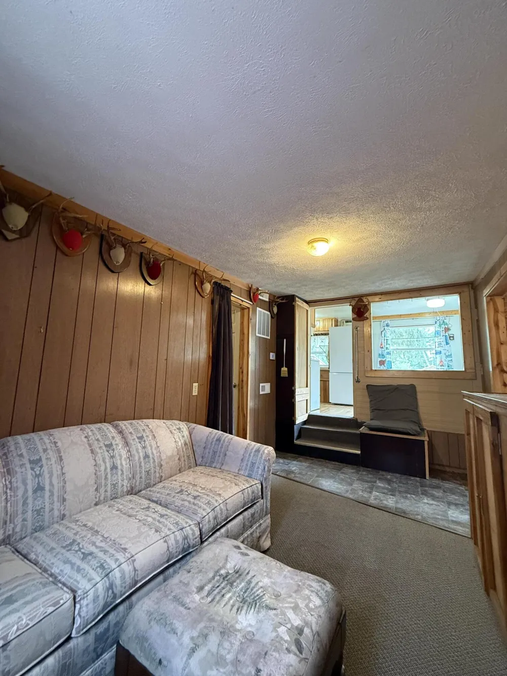 1383 W Palmer Avenue Baldwin, MI 49304