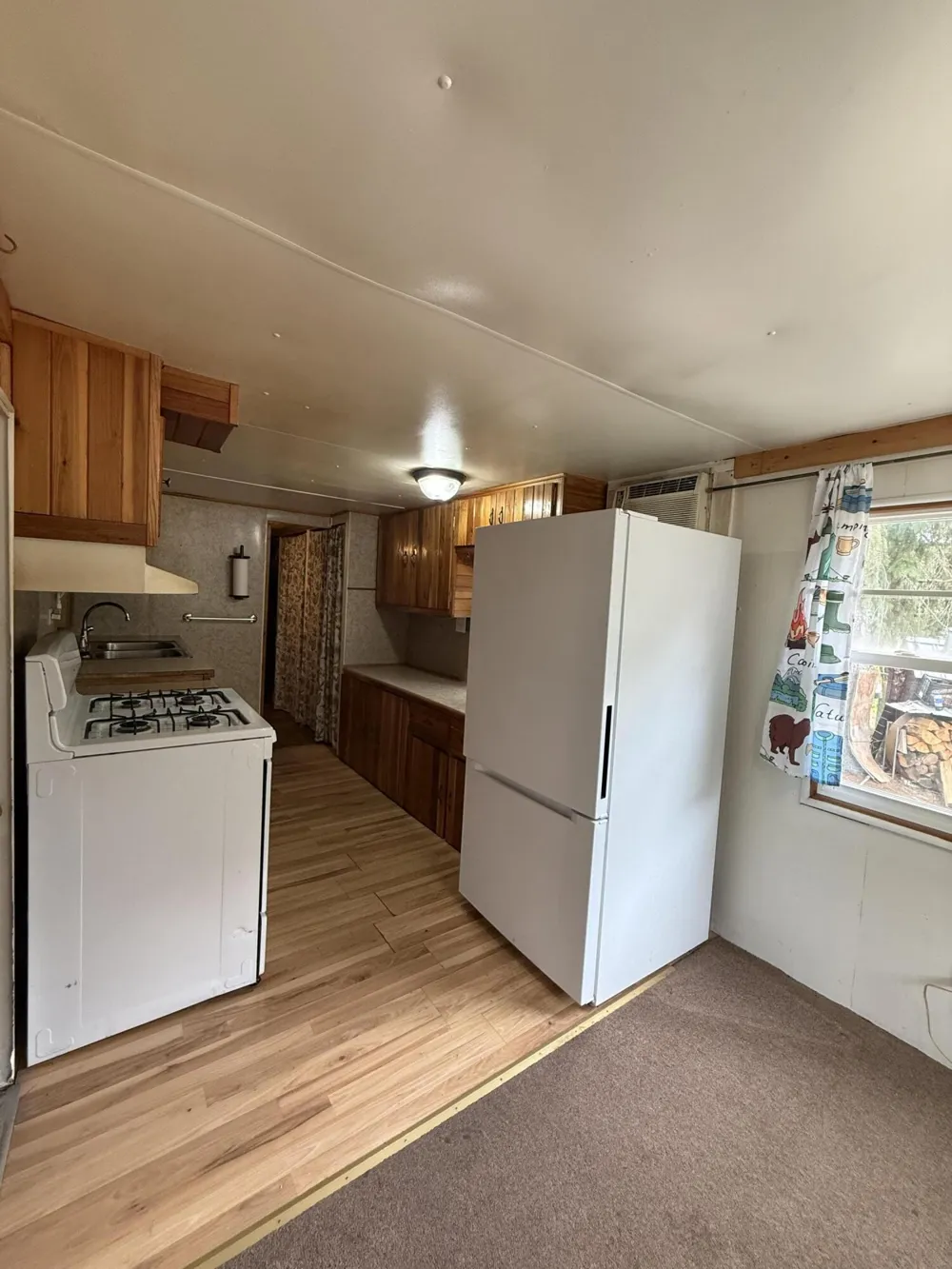 1383 W Palmer Avenue Baldwin, MI 49304