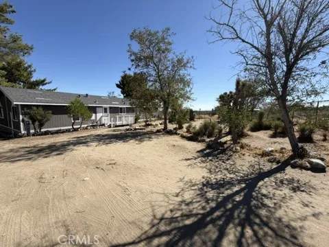 278 Yucca