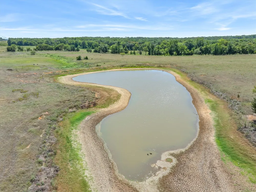 10 VZ County Road 4503 Ben Wheeler, TX 75754