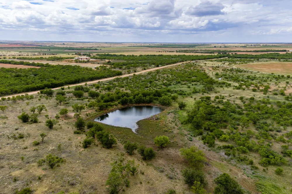 CR 473 Anson, TX 79501