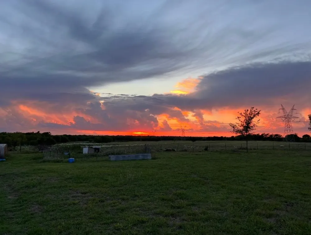 Fm 118 Greenville, TX 75401
